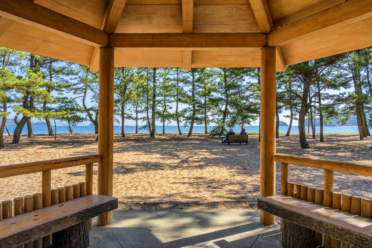 津田の松原】密を避けて、静かな瀬戸内海を散歩しよう。 | 旅カメラ