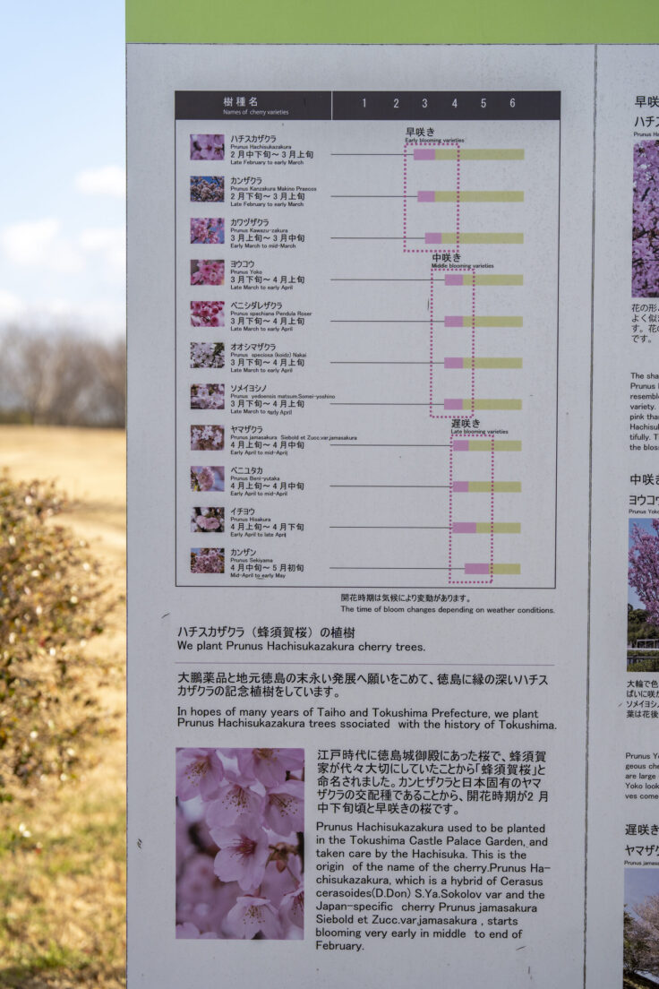 大鵬薬品工業(株) 北島工場の花見公園4