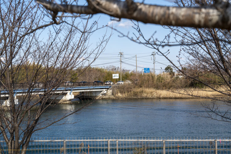 大鵬薬品工業(株) 北島工場の花見公園8