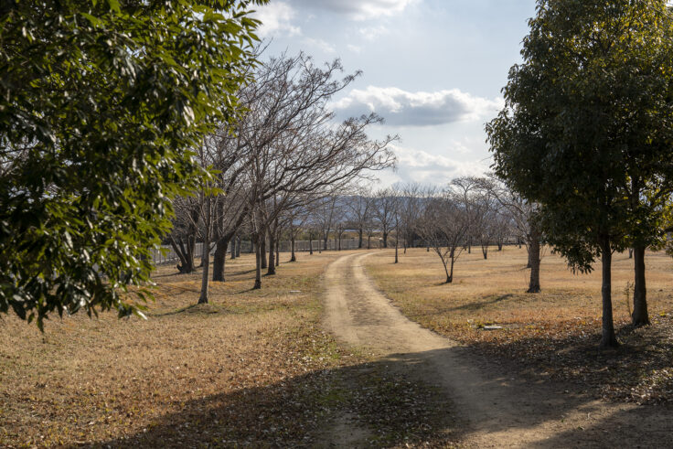 大鵬薬品工業(株) 北島工場の花見公園12