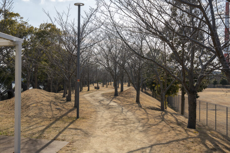 大鵬薬品工業(株) 北島工場の花見公園17