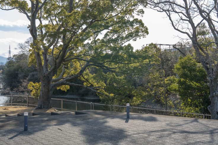 大鵬薬品工業(株) 北島工場の花見公園18