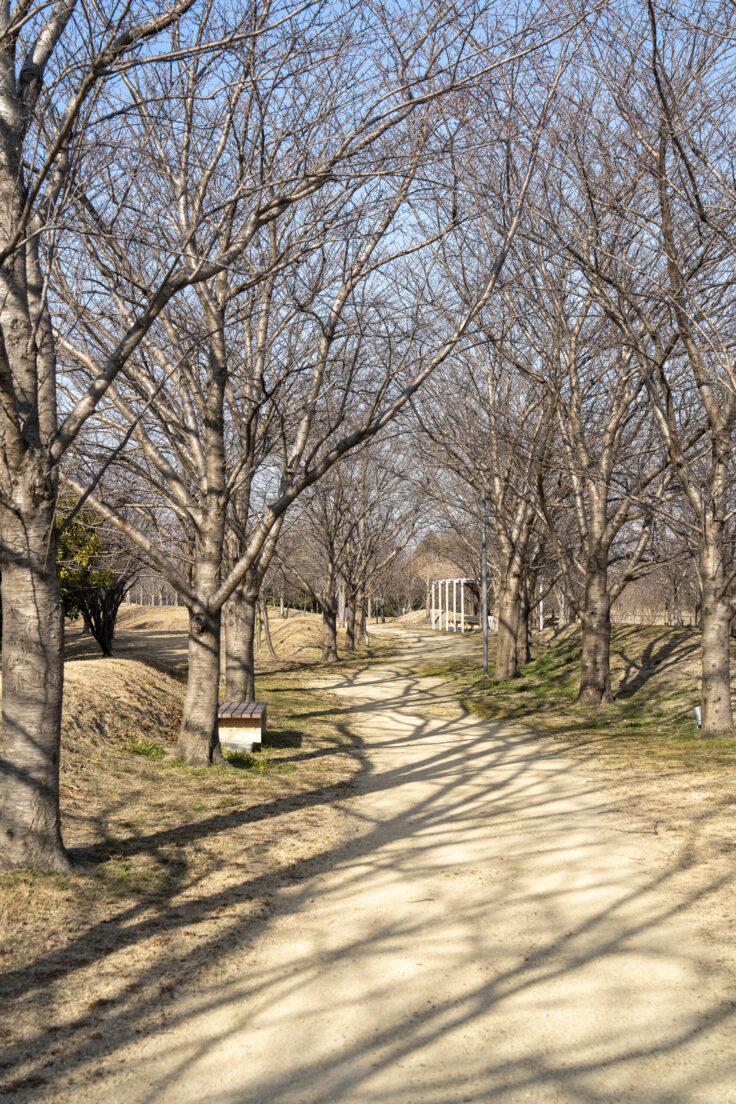 大鵬薬品工業(株) 北島工場の花見公園28