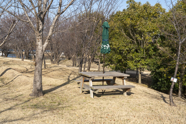 大鵬薬品工業(株) 北島工場の花見公園30