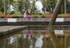 坂出市番の州公園のツツジ3