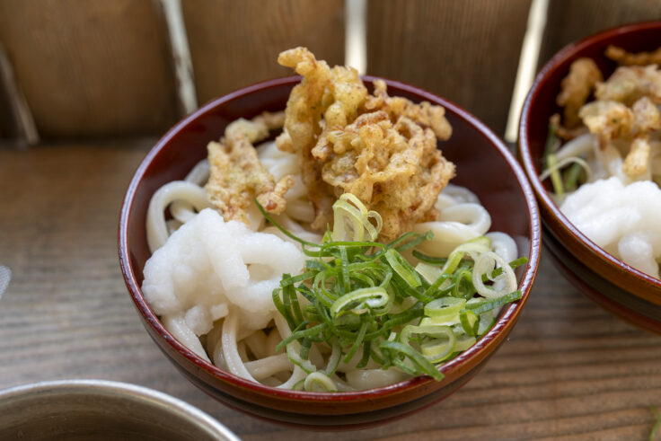 自家製朝うどん