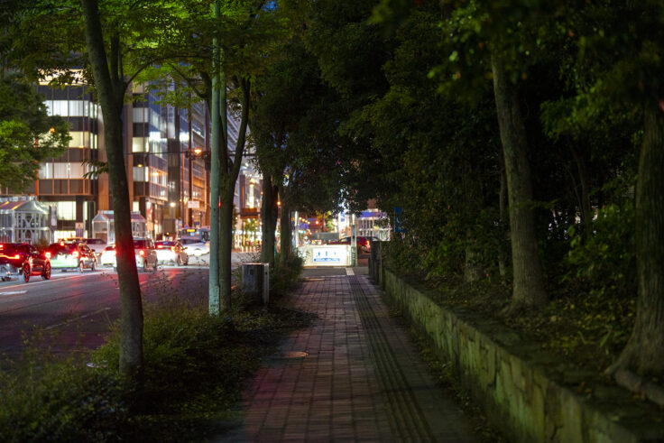 夜色6