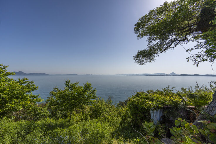 画像 志々島天空の花畑3