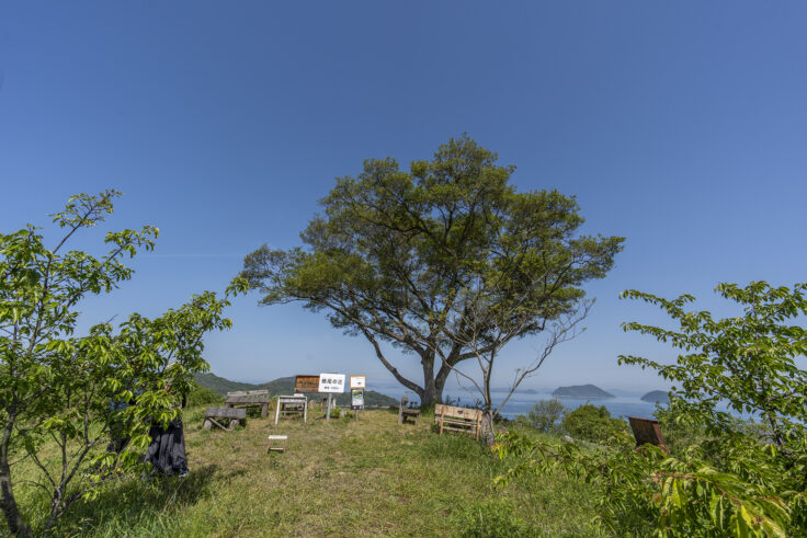 画像 横尾の辻