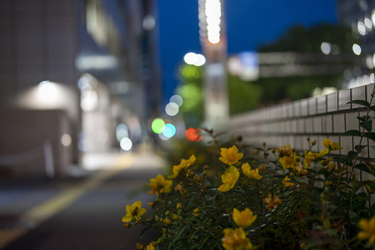 画像 夜色高松24