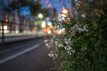 夜色高松Vol.3①