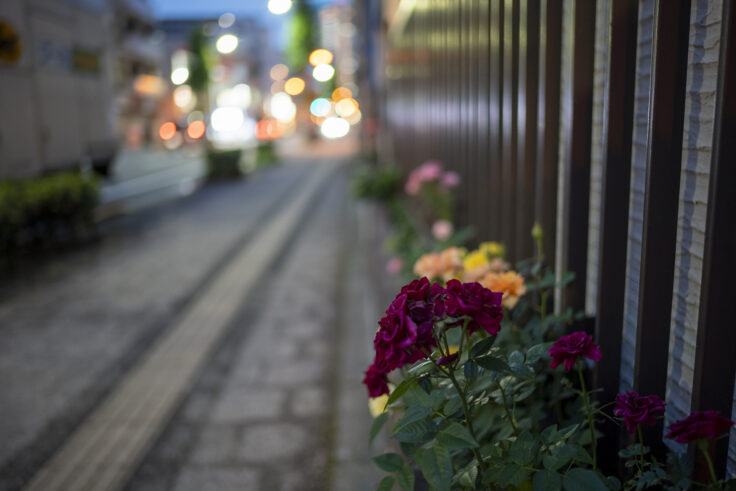 夜色高松Vol.4①