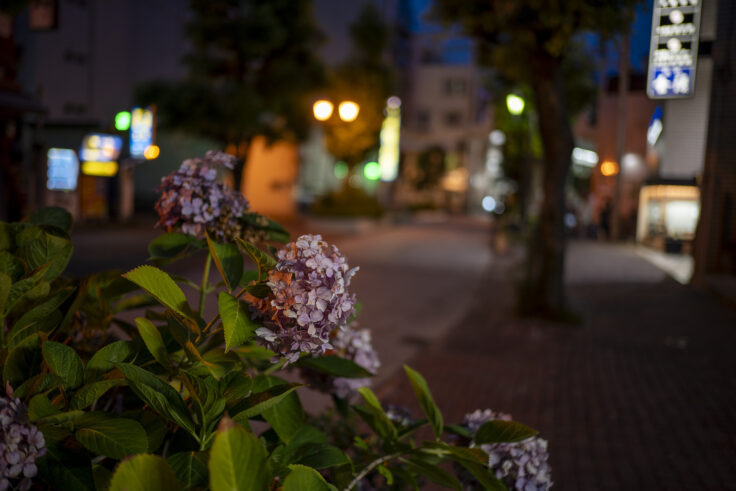 夜色高松Vol.4②
