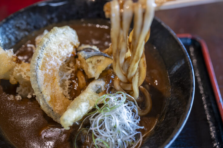 画像 山田家のカレーうどんリフトアップ
