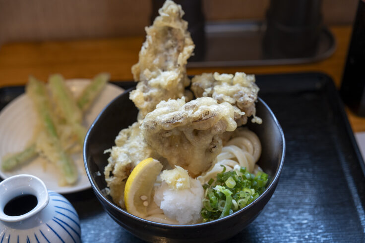 情熱うどん わらくのとり舞茸天ぶっかけ