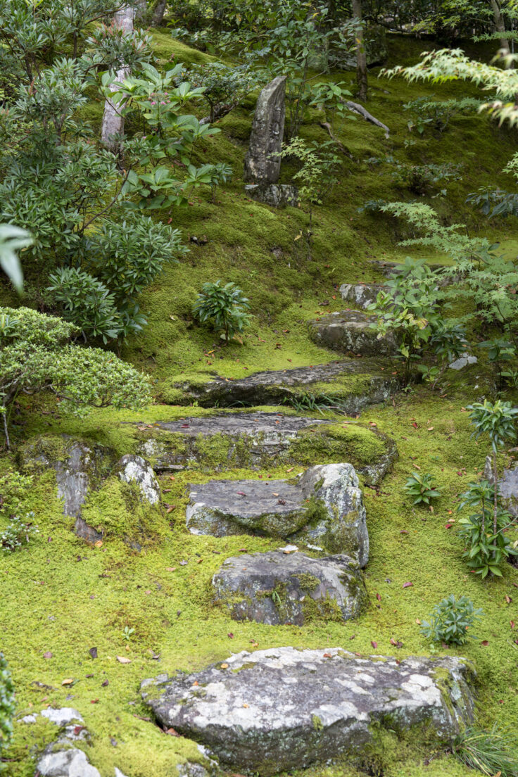 画像 本楽寺16
