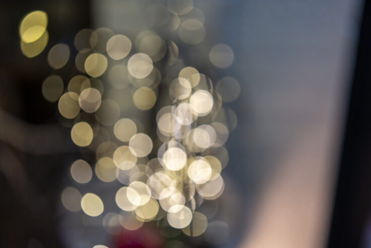 画像 夜色高松1