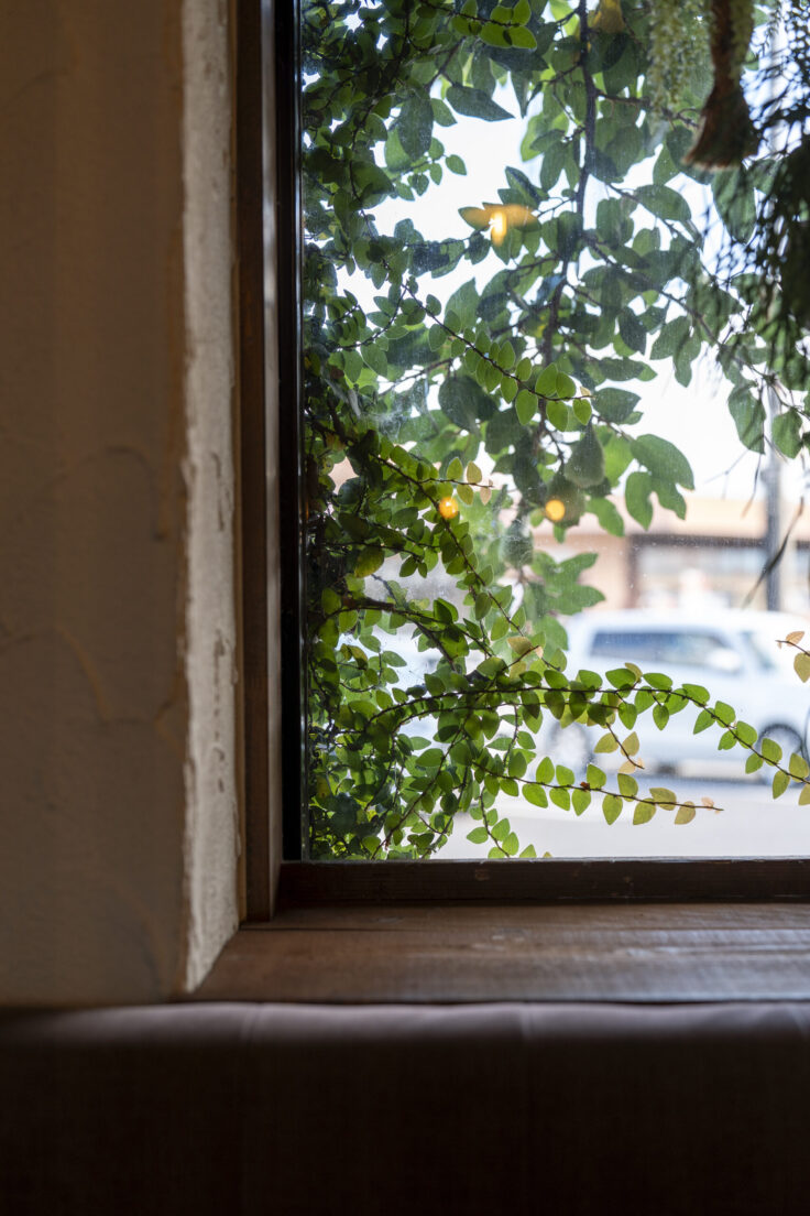 画像 スナップ1