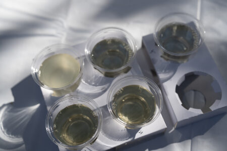 西野金陵初しぼり試飲2