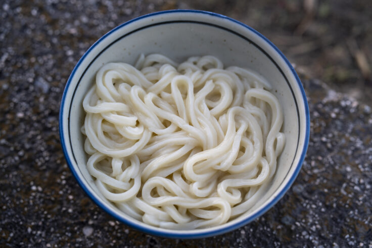 野原製麺所のうどん