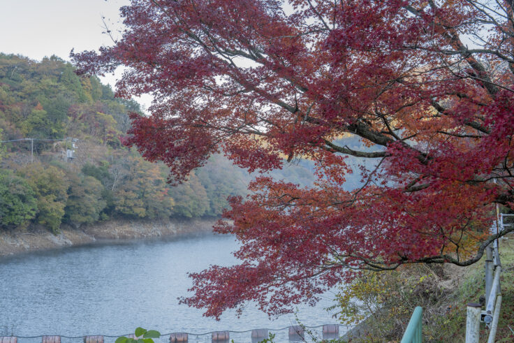 画像 五名ダムの紅葉