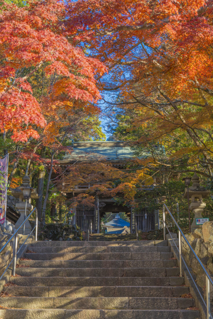 大窪寺の紅葉2025①