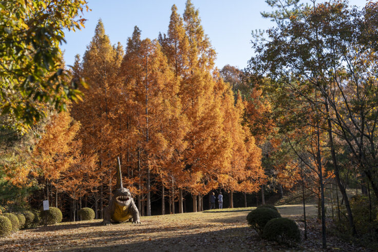 太古の森のメタセコイア紅葉1