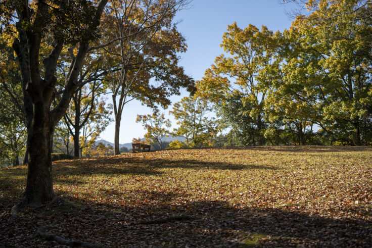 公渕森林公園の秋2