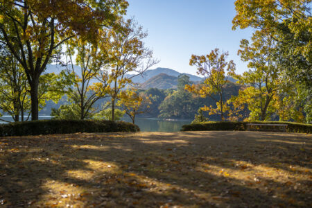 公渕森林公園の秋4
