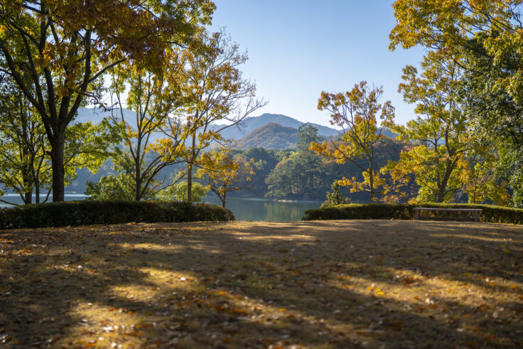 公渕森林公園の秋4