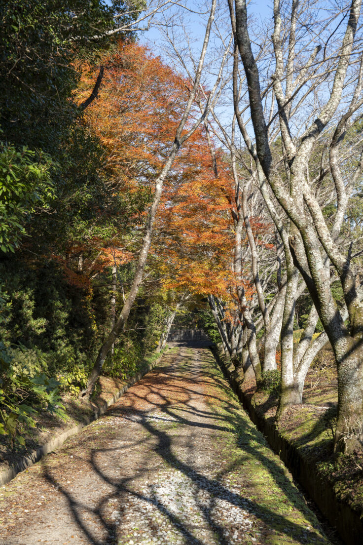 公渕森林公園の秋9