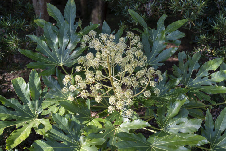 公渕森林公園の秋10