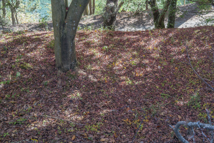 公渕森林公園の秋16