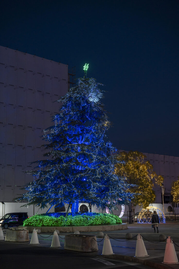 2025さかいで光輝里フェスティバル①