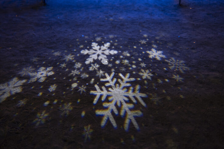 2025さかいで光輝里フェスティバル⑥