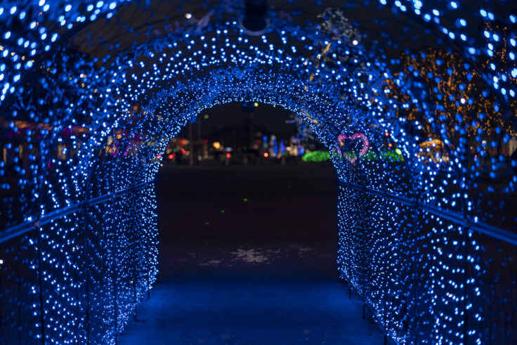 2025さかいで光輝里フェスティバル⑧