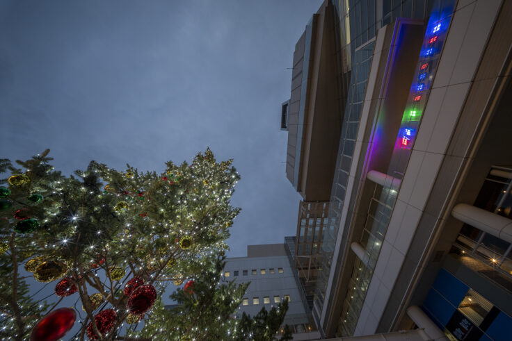 画像 サンポート高松クリスマスマーケット2