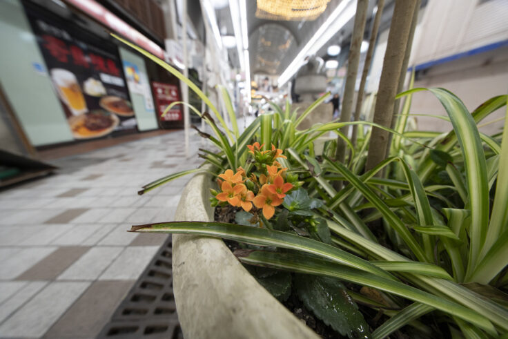 画像 高松夜景9