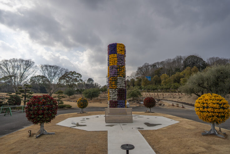 画像 さぬきフラワーガーデンの花14