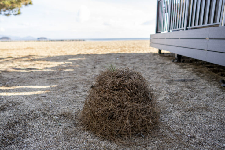 画像 津田町津田町1