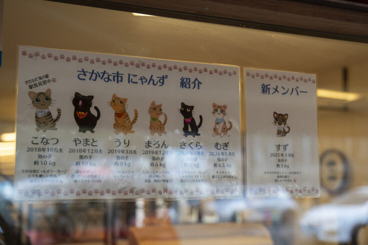 画像 北灘漁協組合のネコたち