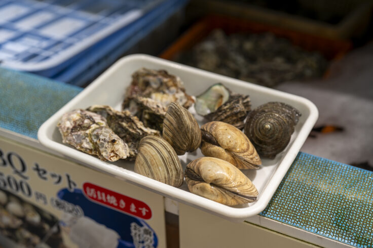 画像 北灘漁協組合の貝2