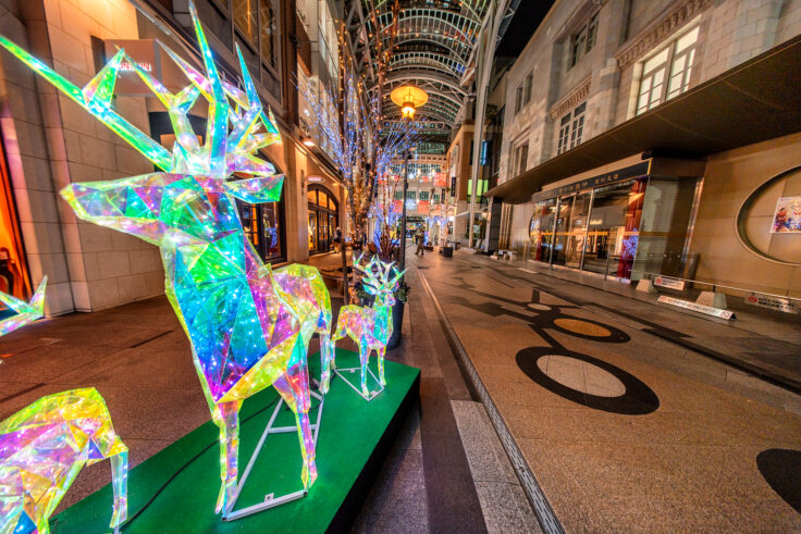 画像 夜色高松8