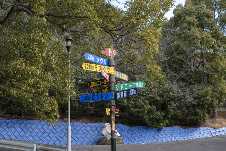 画像 歯ART美術館3