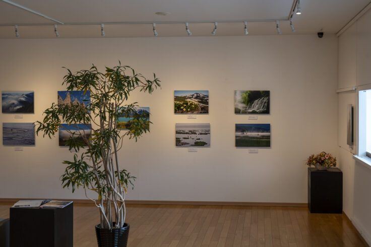 画像 歯ART美術館6