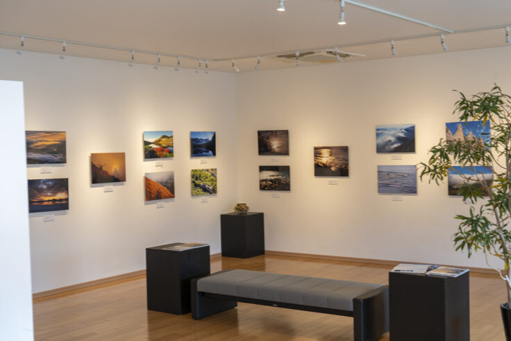 画像 歯ART美術館7