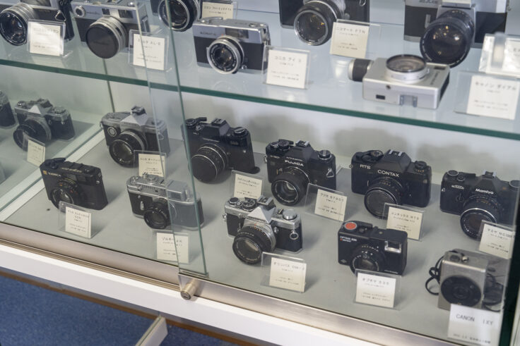 画像 歯ART美術館9