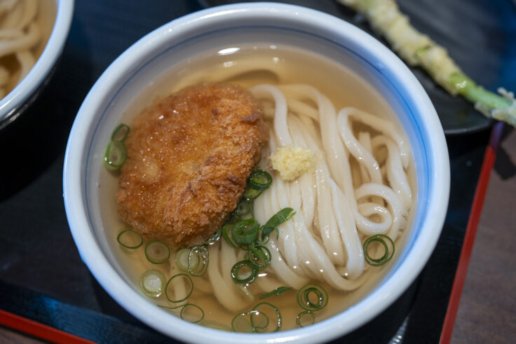 画像 はやし家製麺所 高松空港店のコロッケうどん