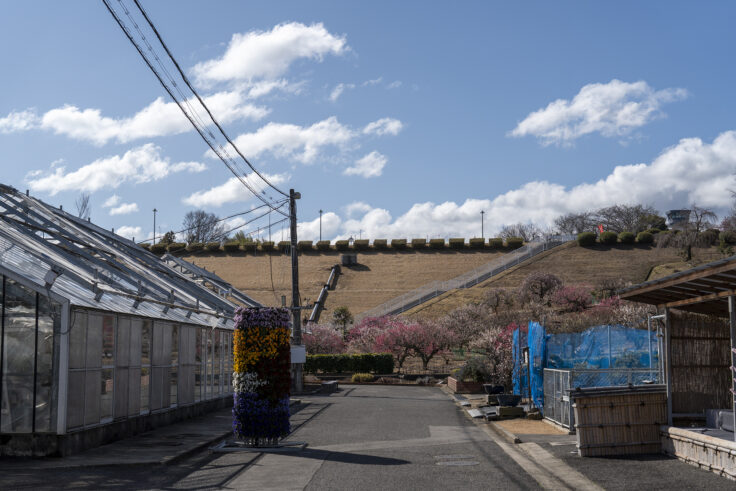 画像 さぬきフラワーガーデン3