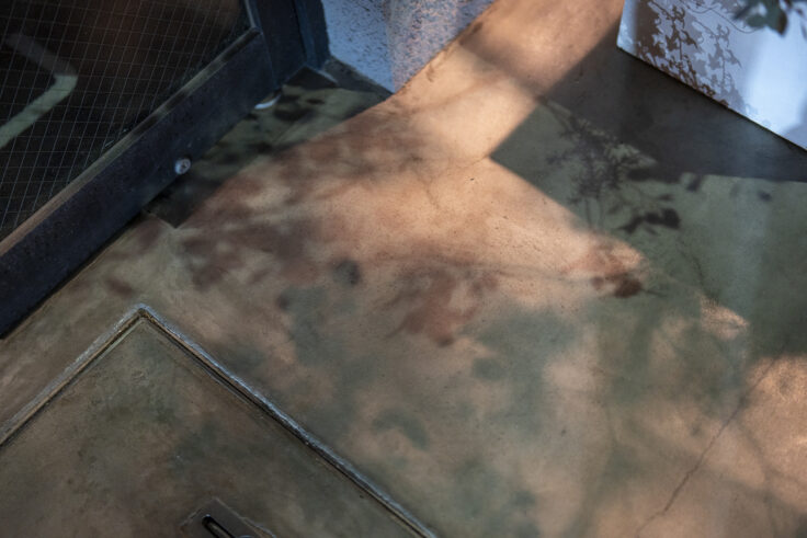 画像 夜色高松777